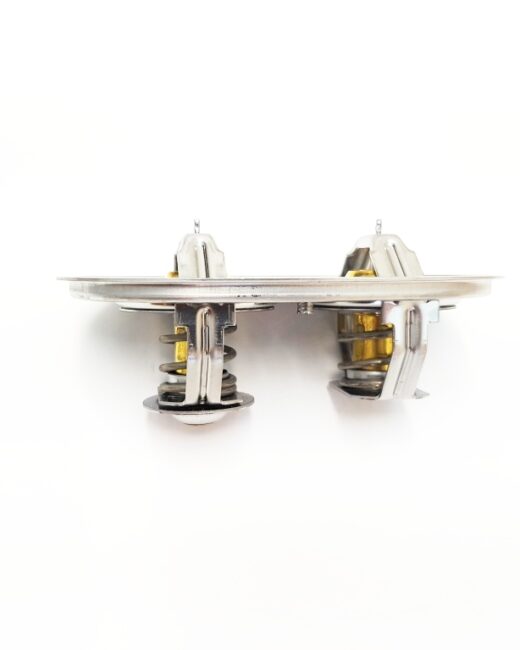 TERMOSTAT SC. R560/730
